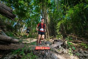 BIB: 
                            <button type="button" onclick="openModal(19387273)" class="btn btn-primary btn-sm float-right btn-popup" data-toggle="modal" data-target=".modal-high-quality">
                        <i class="fas fa-shopping-cart"></i> Add to Cart
                    </button>
                                            <button type="button" onclick="isThisMe(19387273, true)" class="btn btn-success btn-sm float-right btn-popup btn-isme hidden" data-toggle="tooltip" data-placement="bottom" title="นี่คือรูปของคุณใช่ไหม คลิกที่นี่เพื่อเอาเข้าอัลบั้ม">
                        <i class="fas fa-plus"></i> Add to album
                    </button>
                    <button type="button" onclick="isThisMe(19387273, false)" class="btn btn-warning btn-sm float-right btn-popup btn-isnotme hidden">
                        <i class="fas fa-ban"></i> Remove from album
                    </button>